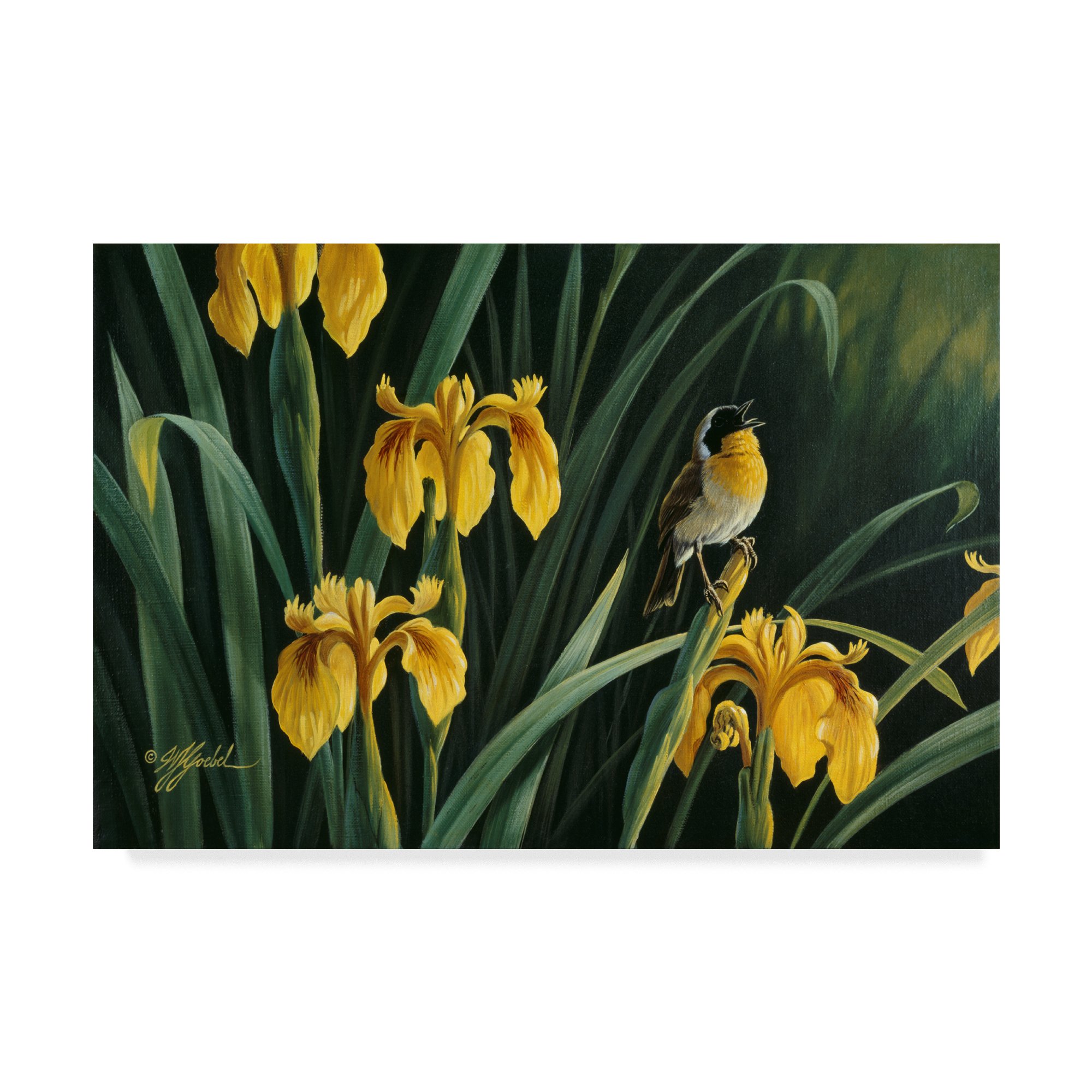 Wilhelm Goebel Yellow Flags and Yellowthroat Wall Art - 30x47 Inch Floral Landscape Painting for Home, Office, and Garden Decor