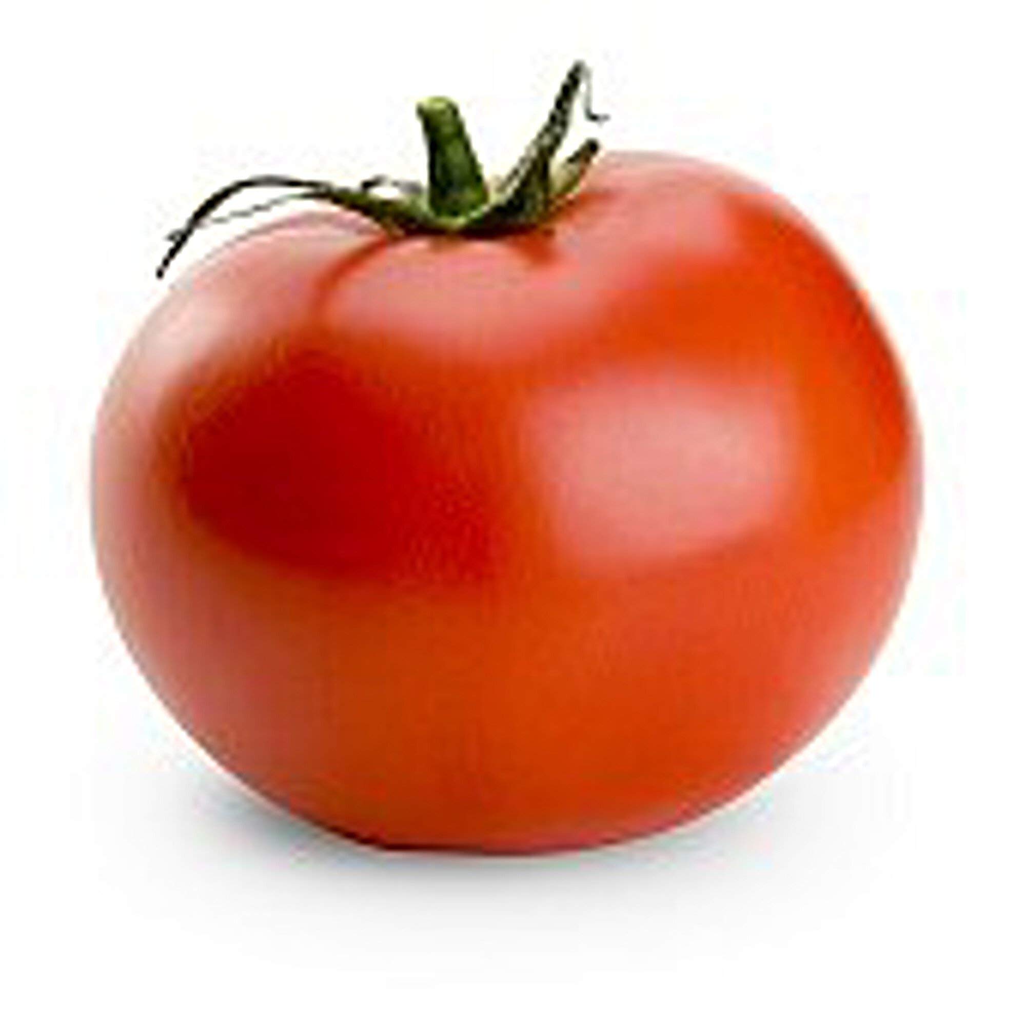 Organic Rally Tomato Seeds (20+ Seeds) - Non-GMO Heirloom Vegetable Seeds for Planting | Home Garden, Greenhouse & Container Gardening | Perfect for Salads, Sauces & Fresh Eating