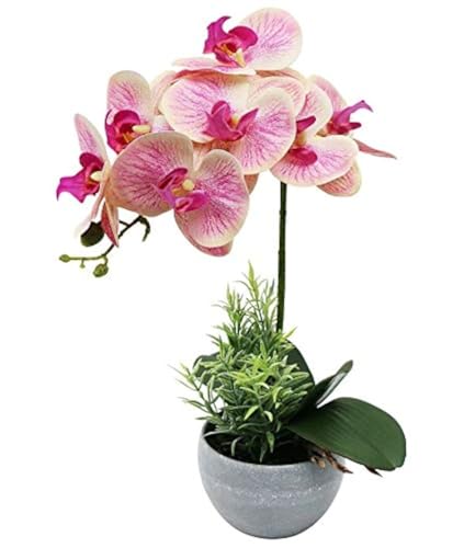 Pink 1 Stem