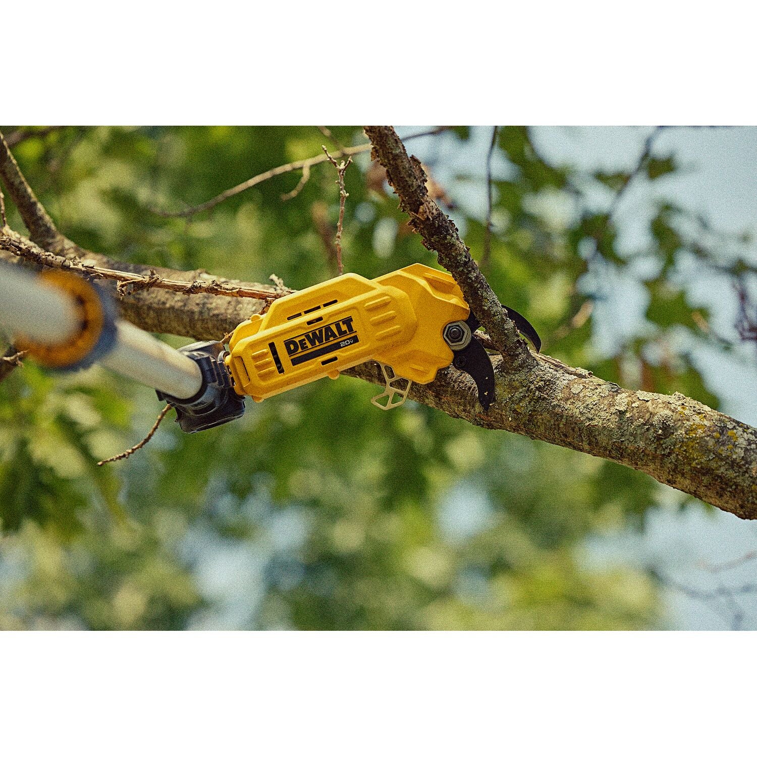 DEWALT DCPPR320D1 20V MAX Cordless Pole Pruner Kit - Battery Powered Tree Trimmer for Landscaping, Gardening & Yard Maintenance