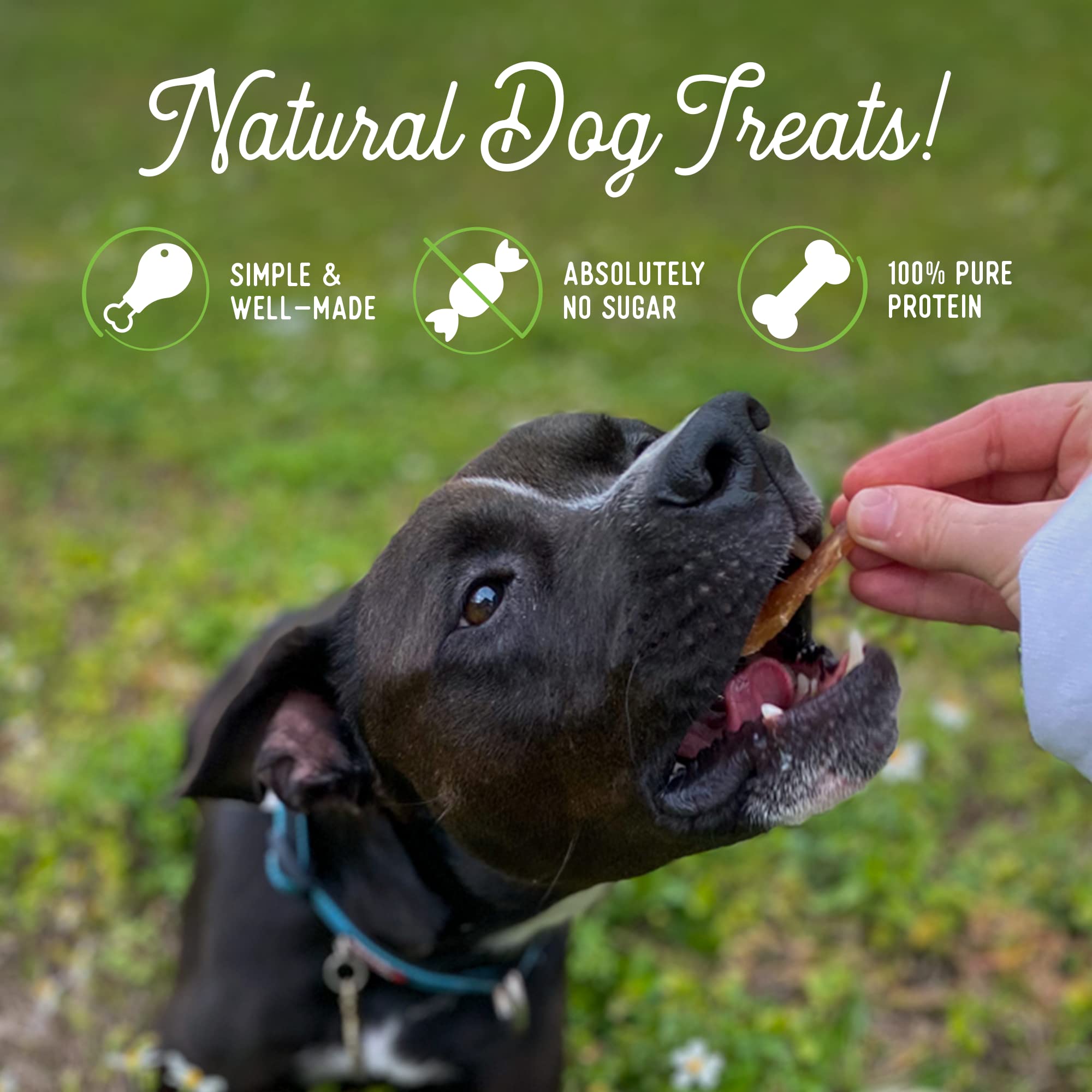 Premium Chicken Jerky Dog Treats for Training - Grain Free, High Protein, Diabetic-Friendly, Made in USA - 10oz (Pack of 2) - Perfect for Obedience Training & Rewarding Good Behavior
