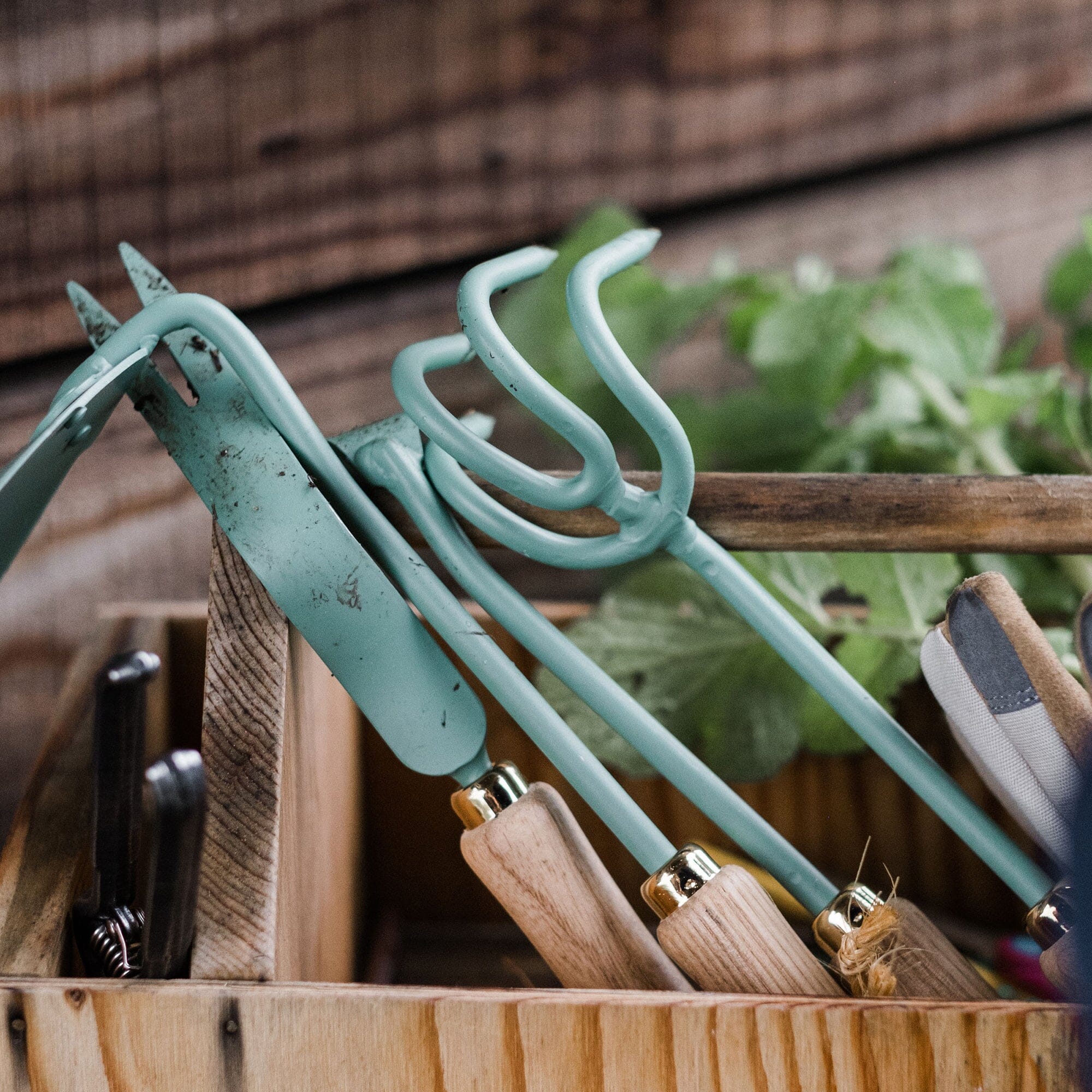 Best Garden Cultivator Tools - Heavy Duty Hand Tiller for Soil Aeration & Weed Control - Perfect for Home Gardening, Landscaping & Flower Beds