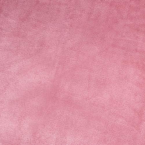 Blush Pink