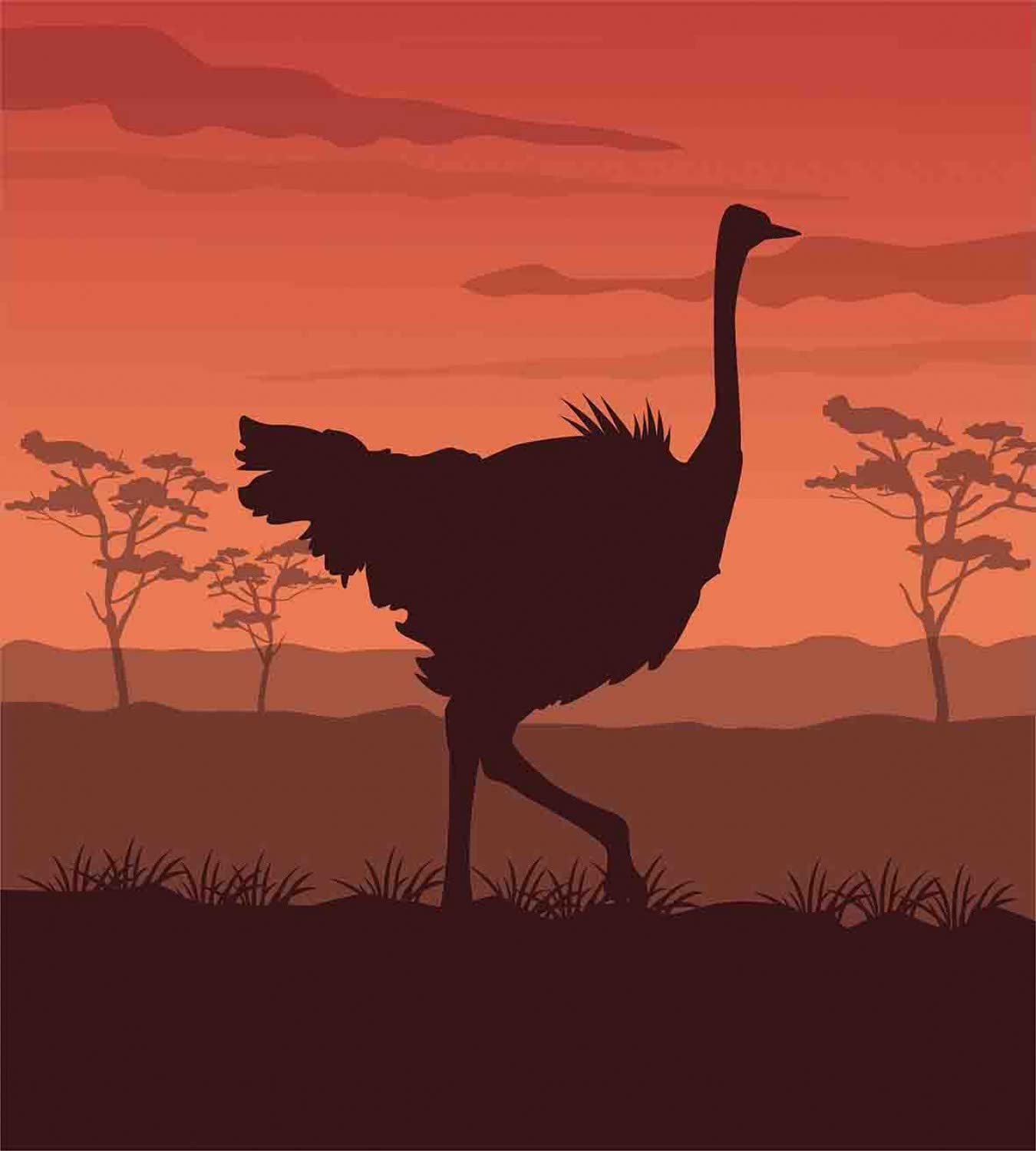 Ambesonne Ostrich Duvet Cover Set - Queen Size 2-Pack with 2 Duvet Covers & 4 Pillowcases, Chestnut Brown Cinnamon - Sunset Wild Bird Silhouette Design for Bedroom Decor, Perfect for Guest Rooms & Master Bedrooms