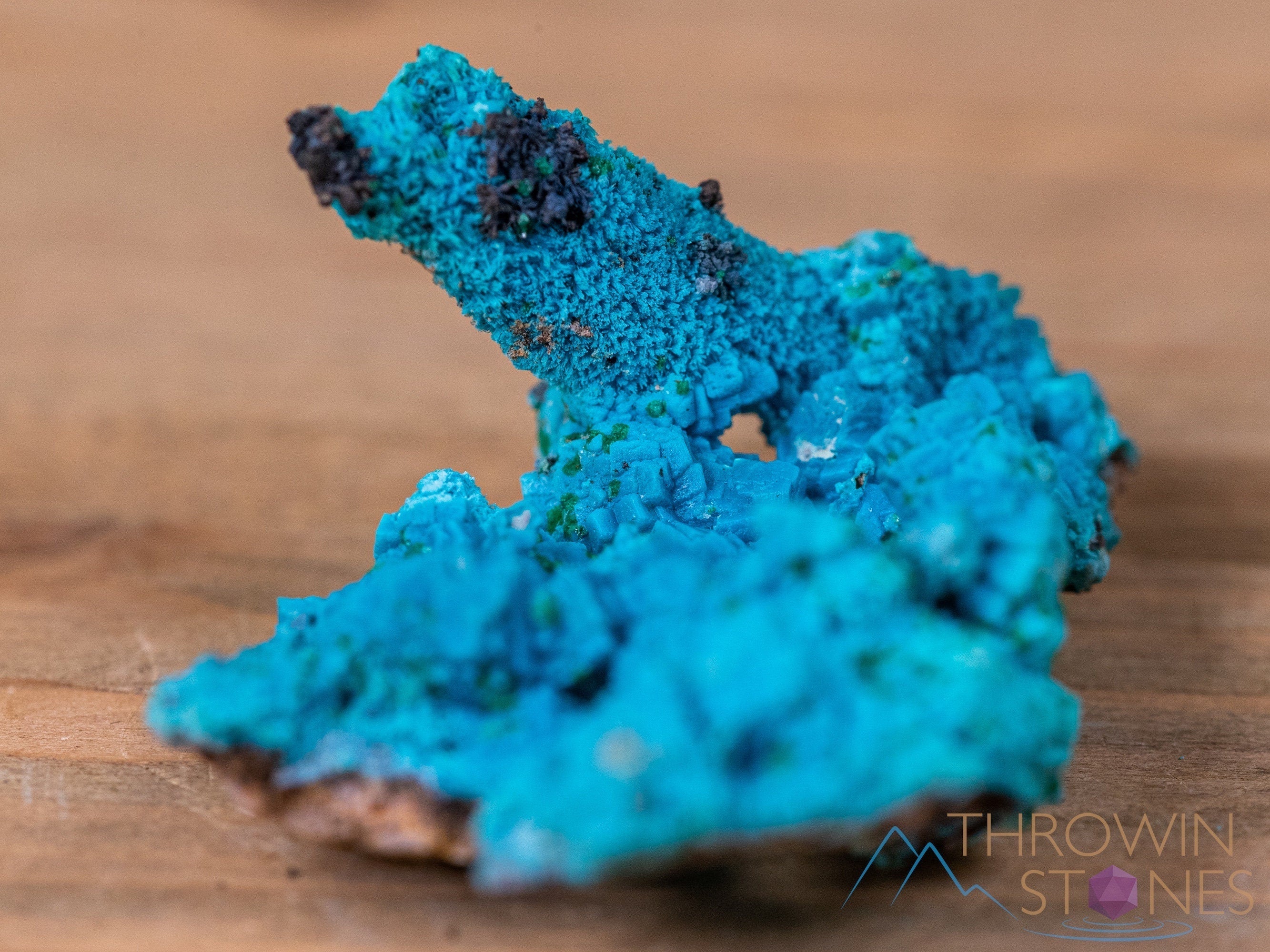 Natural CHRYSOCOLLA Pseudomorph after AZURITE & MALACHITE Raw Crystal with Calcite - Healing Stone Collection, Unique Housewarming Gift, Spiritual Home Decor for Meditation & Energy Cleansing | Raw Gemstone Specimen 40491