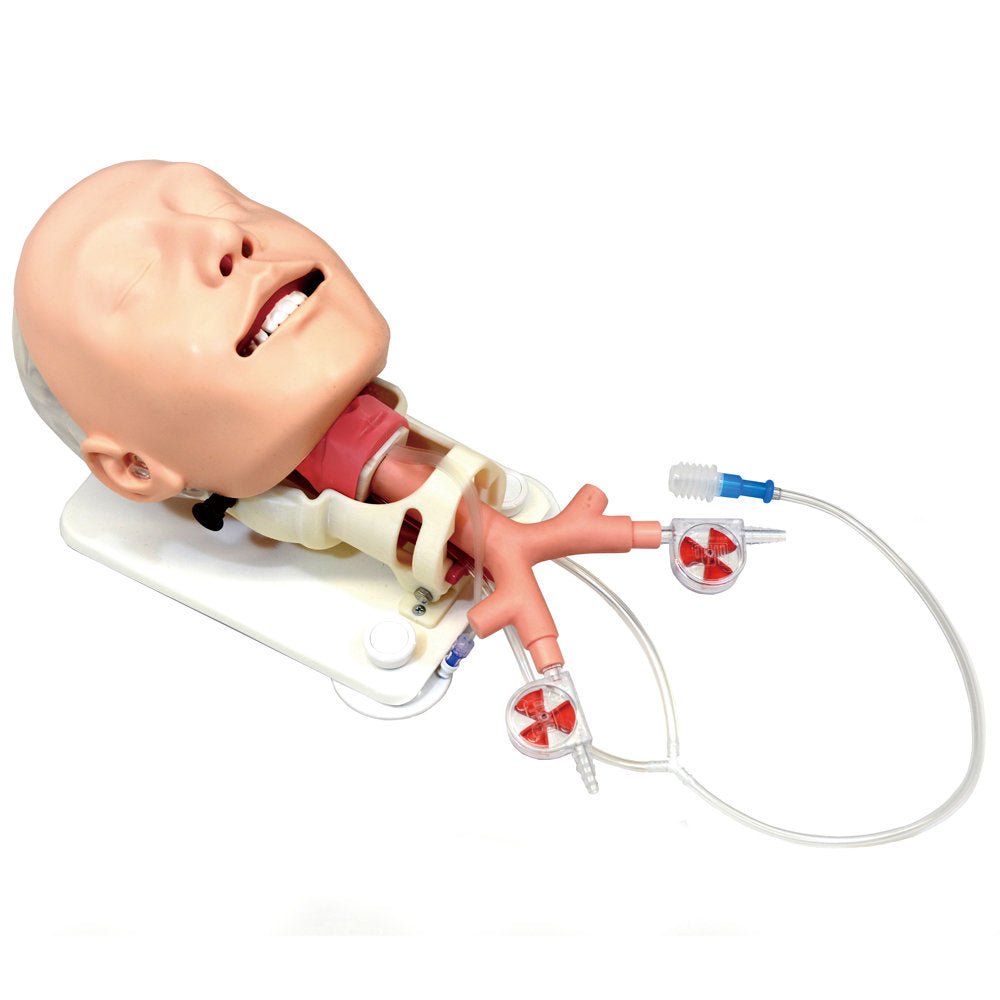 Difficult Airway Management Training Model - High-Fidelity Medical Simulation Manikin for Anesthesia & Emergency Practice - Perfect for Medical Students, Residents, and Healthcare Professionals