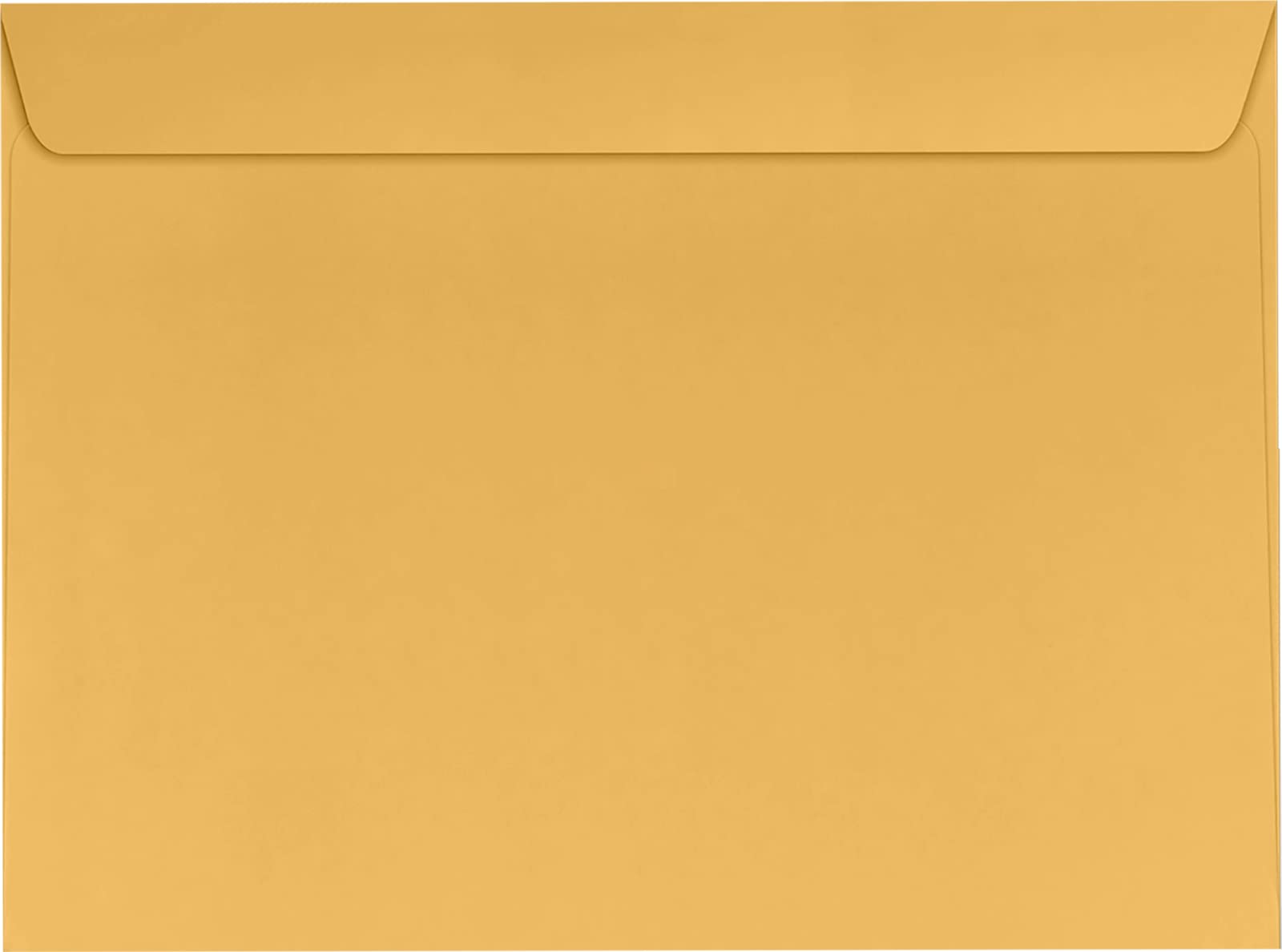 Premium LUXPaper 9 x 12 Inches Booklet Envelopes - 28lb Kraft Brown Text Paper - Pack of 500 for Mailing, Invitations, Business Correspondence & Wedding Stationery