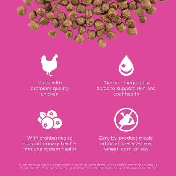 Go! Solutions Skin & Coat Care Chicken Recipe with Grains Dry Cat Food - Premium Protein for Healthy Fur & Skin - Perfect for Indoor & Outdoor Cats
