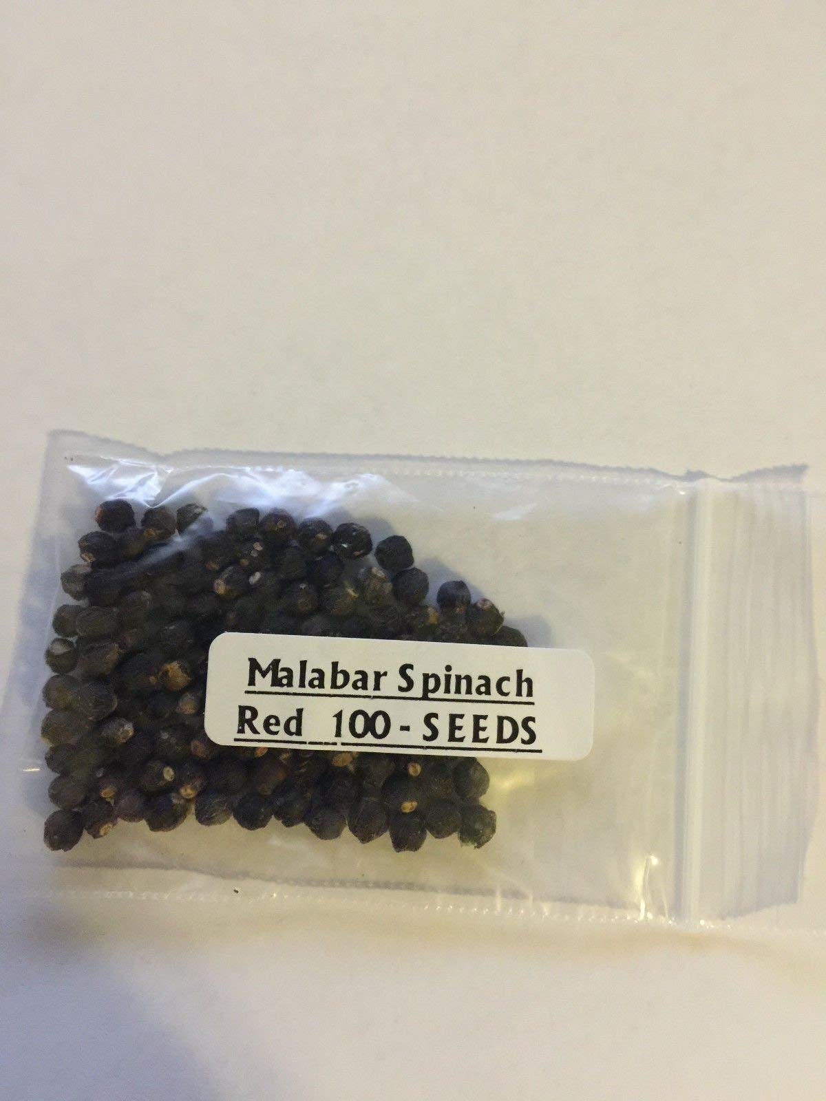 Organic Malabar Red Spinach Seeds - Pack of 25 - Non-GMO Heirloom Vegetable Seeds for Home Gardening, Hydroponics & Container Planting - Perfect for Salads, Stir-fries and Healthy Smoothies