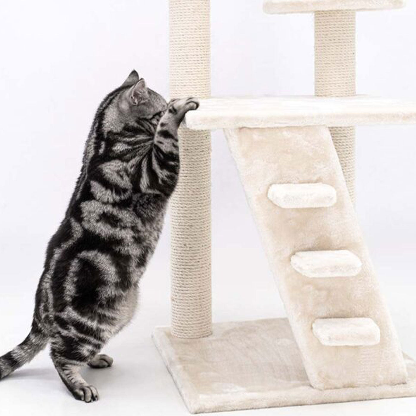 Little Rebels Reno 110cm Cat Tree - Multi-Level Cat Tower with Scratching Posts & Perches for Indoor Cats | Perfect for Play, Rest & Climbing in Small Spaces