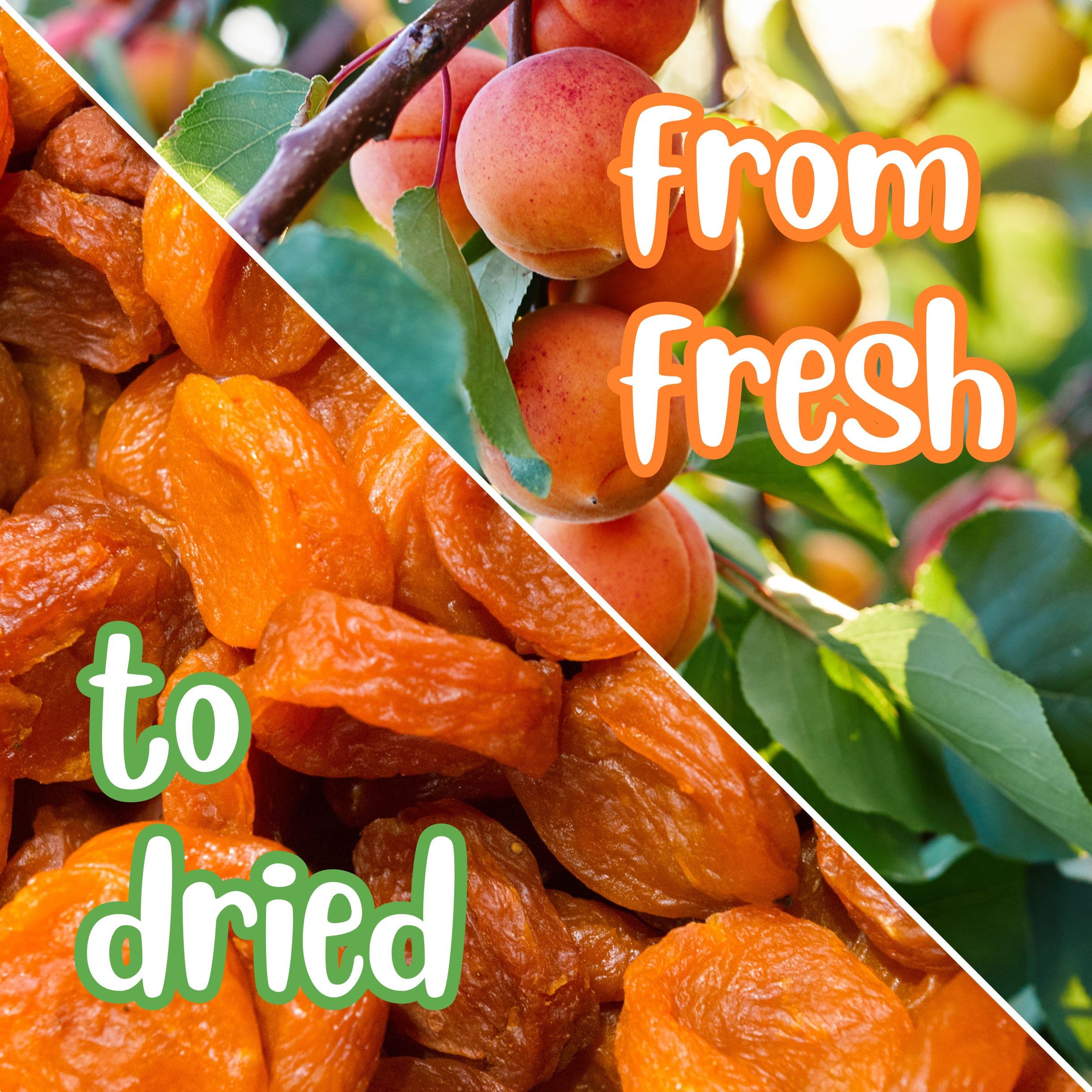 California Dried Apricots by Its Delish, 10 Lbs Bulk Bag | Premium Fancy Dried Fruit | Natural Sweet & Tangy Healthy Snack - No Sugar Added, Vegan, Kosher Certified | Perfect for Baking, Trail Mix & Healthy Snacking