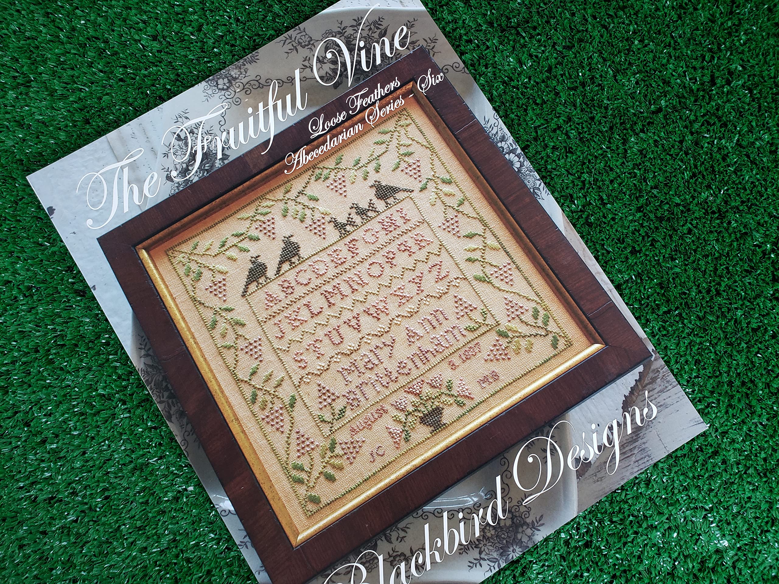 Blackbird Designs The Fruitful Vine Cross Stitch Pattern - Loose Feathers Collection - DIY Embroidery Kit for Home Decor & Gift Giving