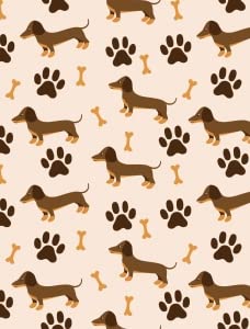Dachshund Dog Paw