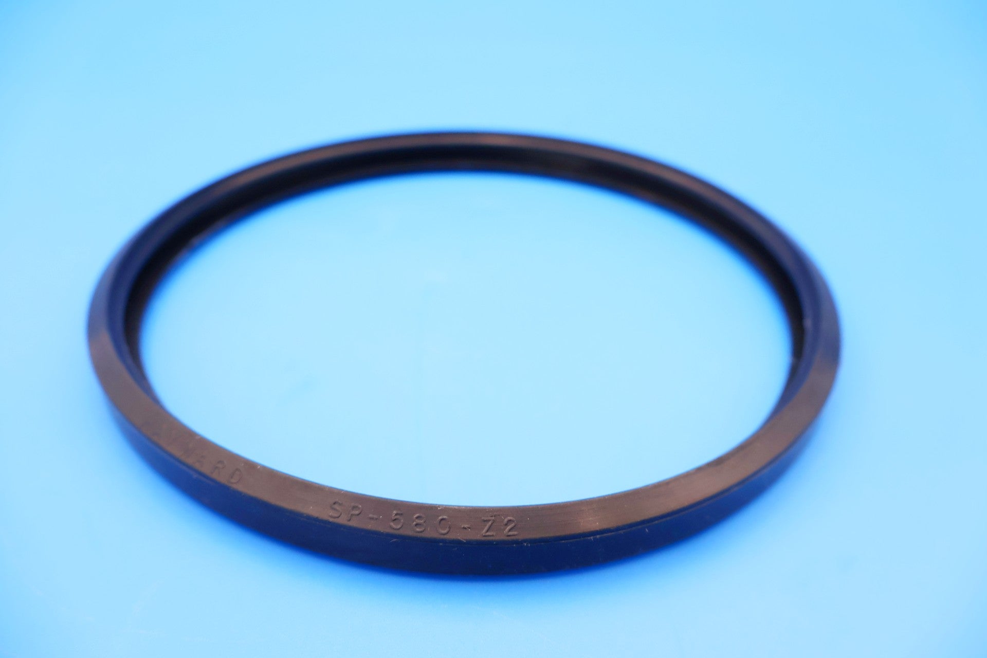 Hayward SPX0580Z2 Lens Gasket Replacement for Duralite & Astrolite Pool Lights - Waterproof Seal for Underwater Lighting Maintenance & Repair