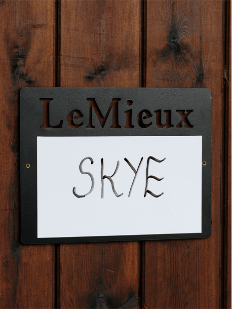 Stable Magnetic Dry Erase Whiteboard - 36