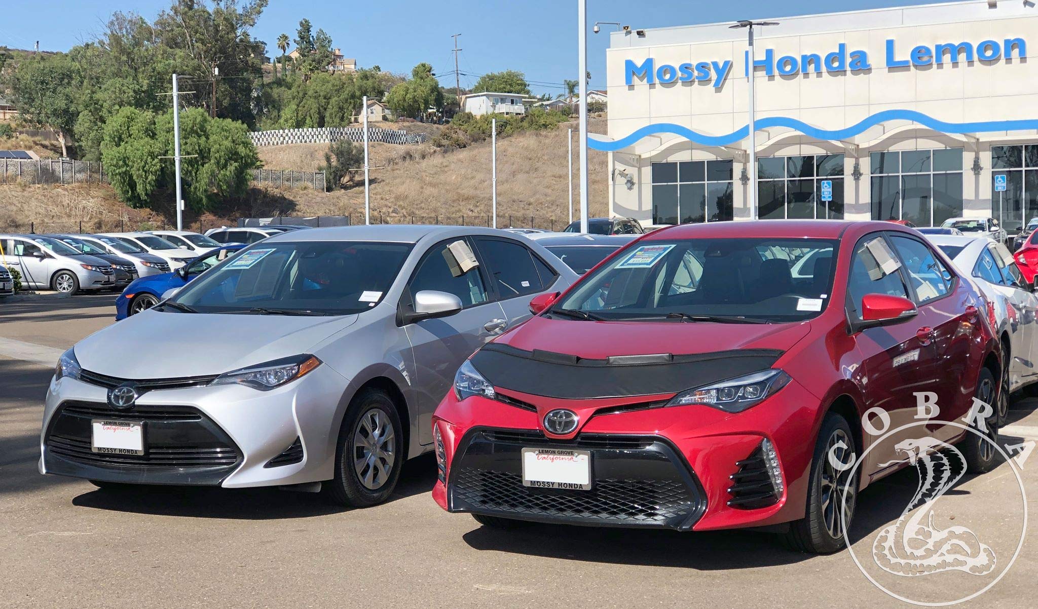 Premium Car Hood Bra Cover for Toyota Corolla 2014-2018 - Durable Bonnet Mask Protector Against Rocks, Bugs & Road Debris - Perfect for Road Trips, Off-Roading & Daily Commute Protection
