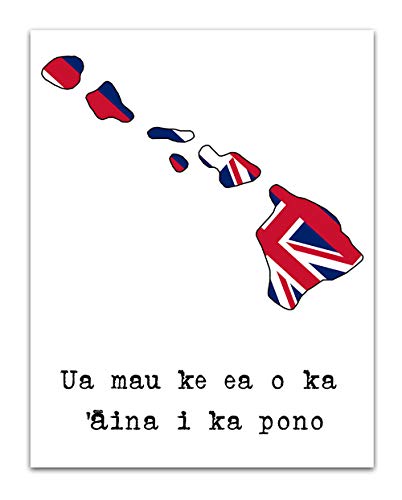 Hawaii State Flag