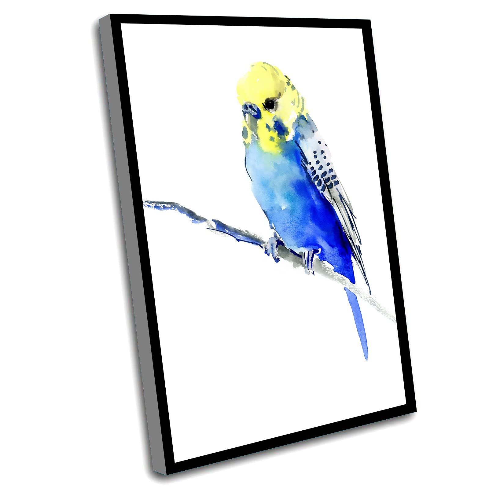 Farmhouse Wall Decor for Girls Bedroom - 12x16 Inch Framed Canvas Watercolor Parrot Painting with Inspirational Quotes - Perfect for Home Office, Nursery & Master Bedroom Decor