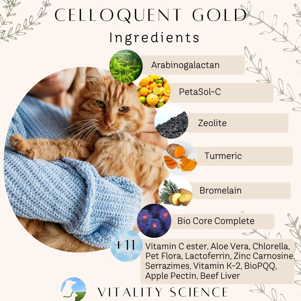 Premium Celloquent Gold Immune Support Supplement for Cats - 17 Synergistic Holistic Ingredients for Autoimmune, Digestive & Mood Health (220g) - Supports Vomiting, Diarrhea & Depression Relief - Ideal for Senior Cats & Feline Wellness Care