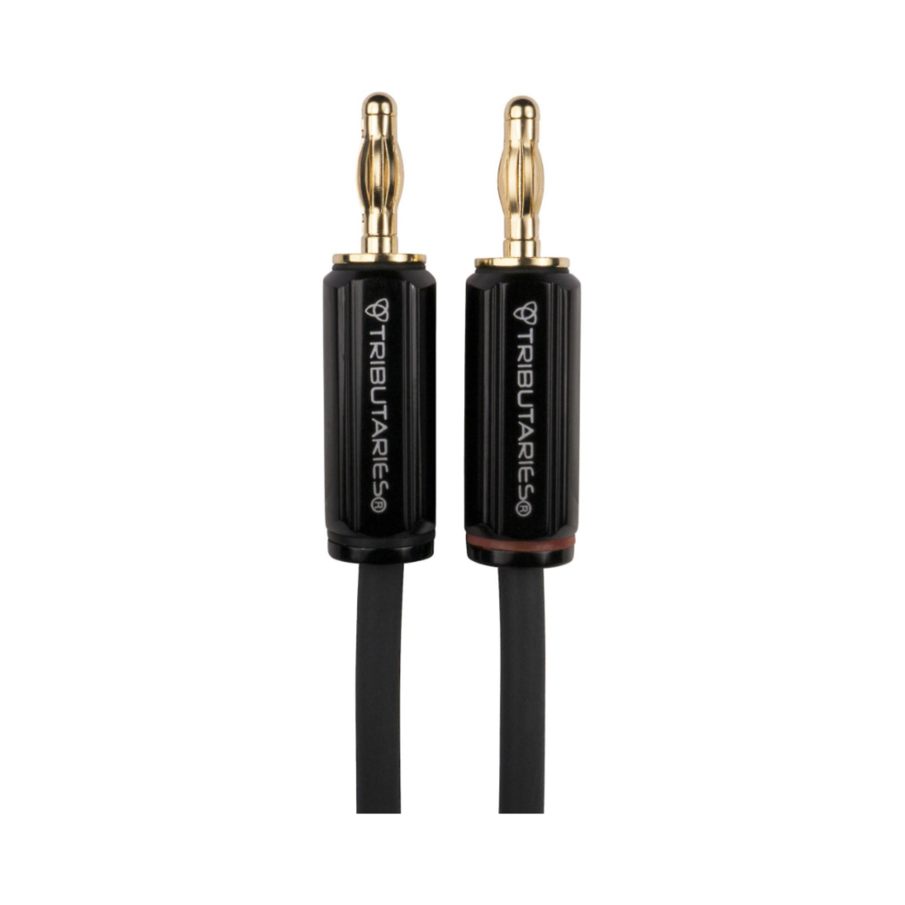 Tributaries Model 4SP 12AWG Banana Speaker Cables - High Performance Audio Cable for Home Theater & Stereo Systems - Perfect for Surround Sound, Amplifiers & Hi-Fi Speakers