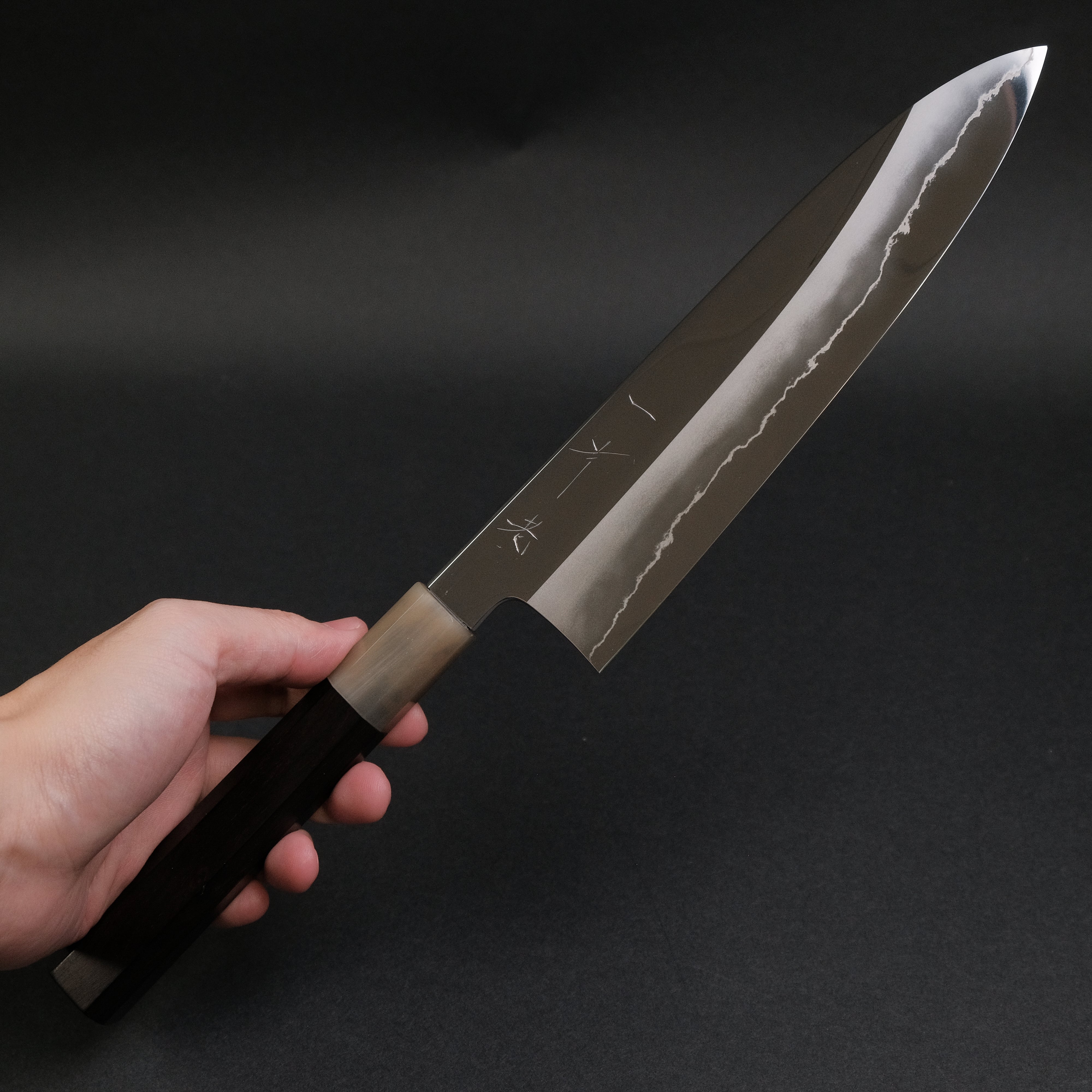 Hitohira Kikuchiyo Rou Silver #3 Mirror Polished Gyuto 210mm Japanese Chef Knife with Ebony Handle - Perfect for Sushi, Meat Cutting & Professional Kitchen Use