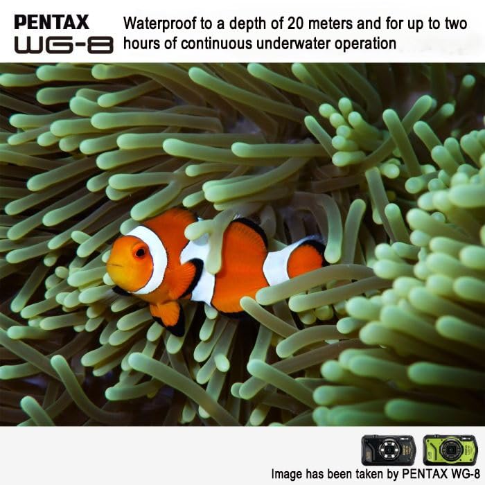 **PENTAX WG-8 Black Waterproof Digital Camera - Shockproof, Dustproof, 4K Video, Macro Ring Light, Webcam Function for Outdoor Adventures, Travel & Vlogging**    *(Optimized for SEO, includes key features and usage scenarios like outdoor adventures, travel, and vlogging.)*