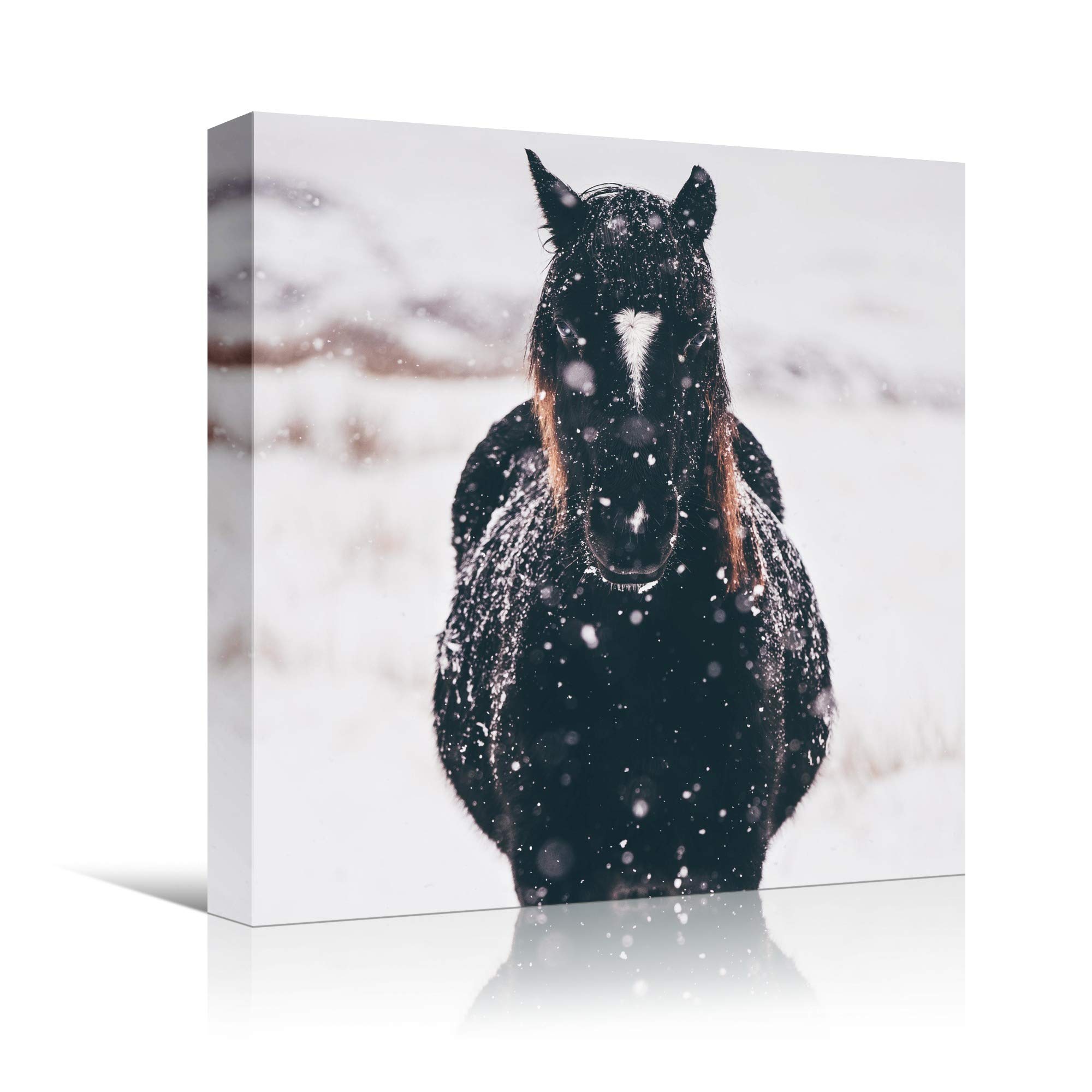 Premium Horse Wall Art Print - 24x24 Inch Farmhouse Countryside Photography for Living Room & Bedroom Decor - Ready to Hang Canvas Picture - Perfect for Western, Equestrian & Ranch Style Home Decoration