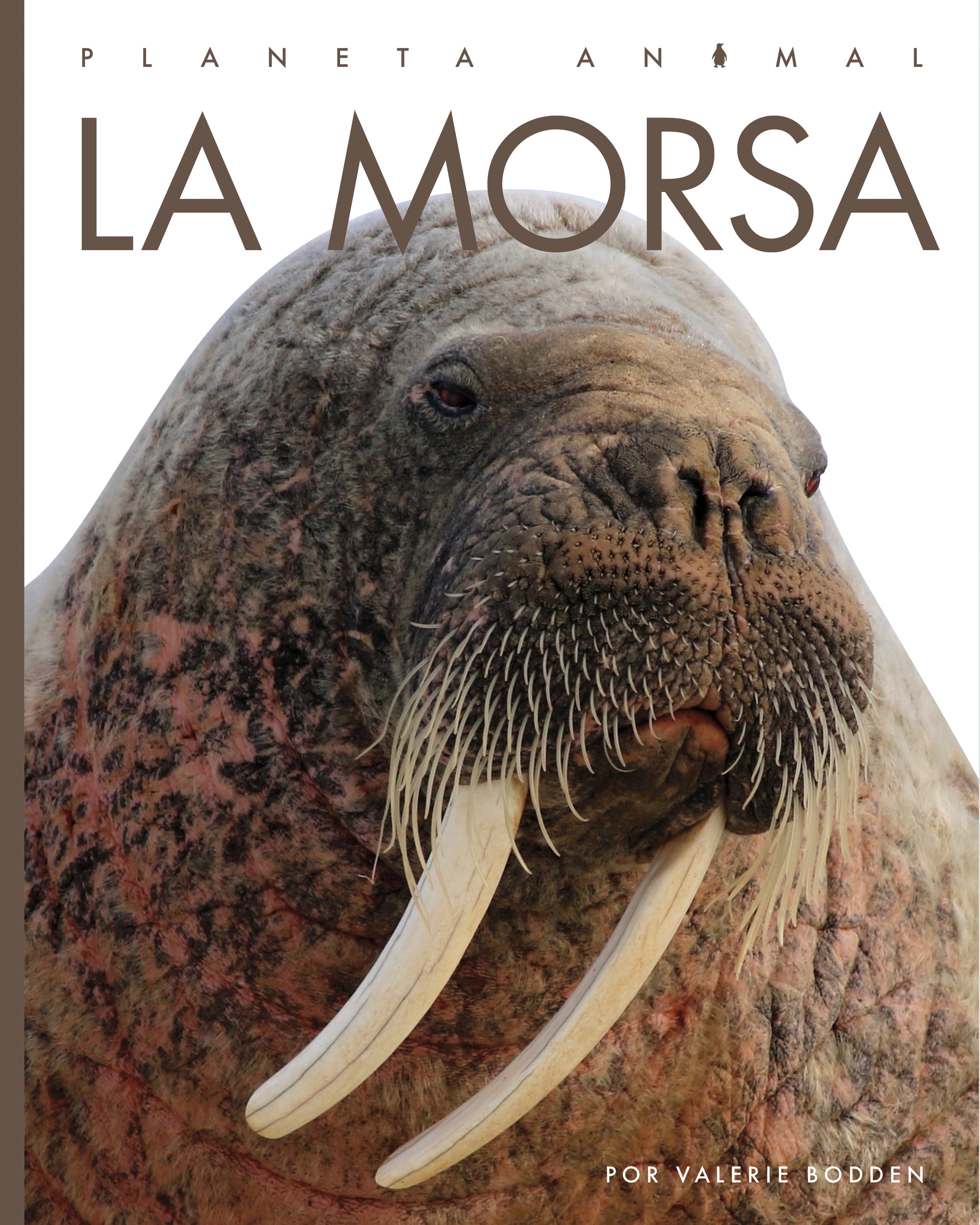 La Morsa Book 9781640266995 - Wildlife Animal Facts & Nature Exploration for Kids - Perfect for Homeschooling & Classroom Learning