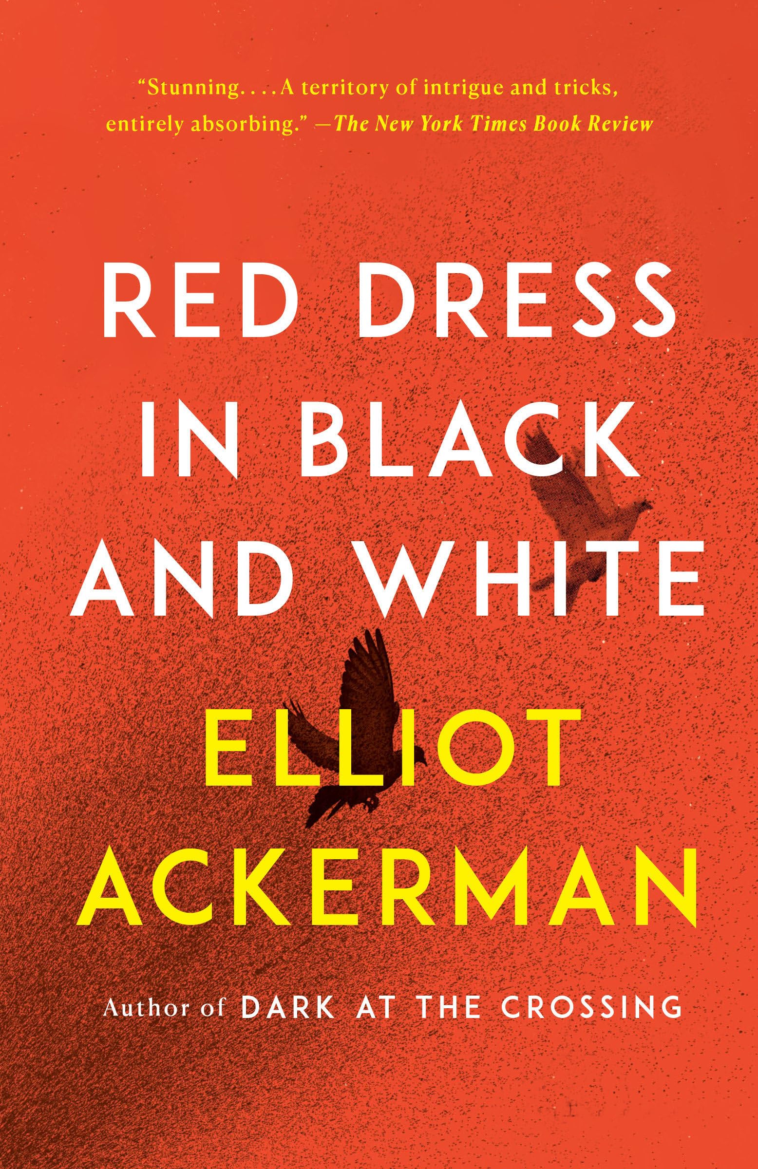 Red Dress in Black and White - Bestselling Novel | Romantic Fiction Book for Adults | Perfect for Book Clubs & Beach Reading