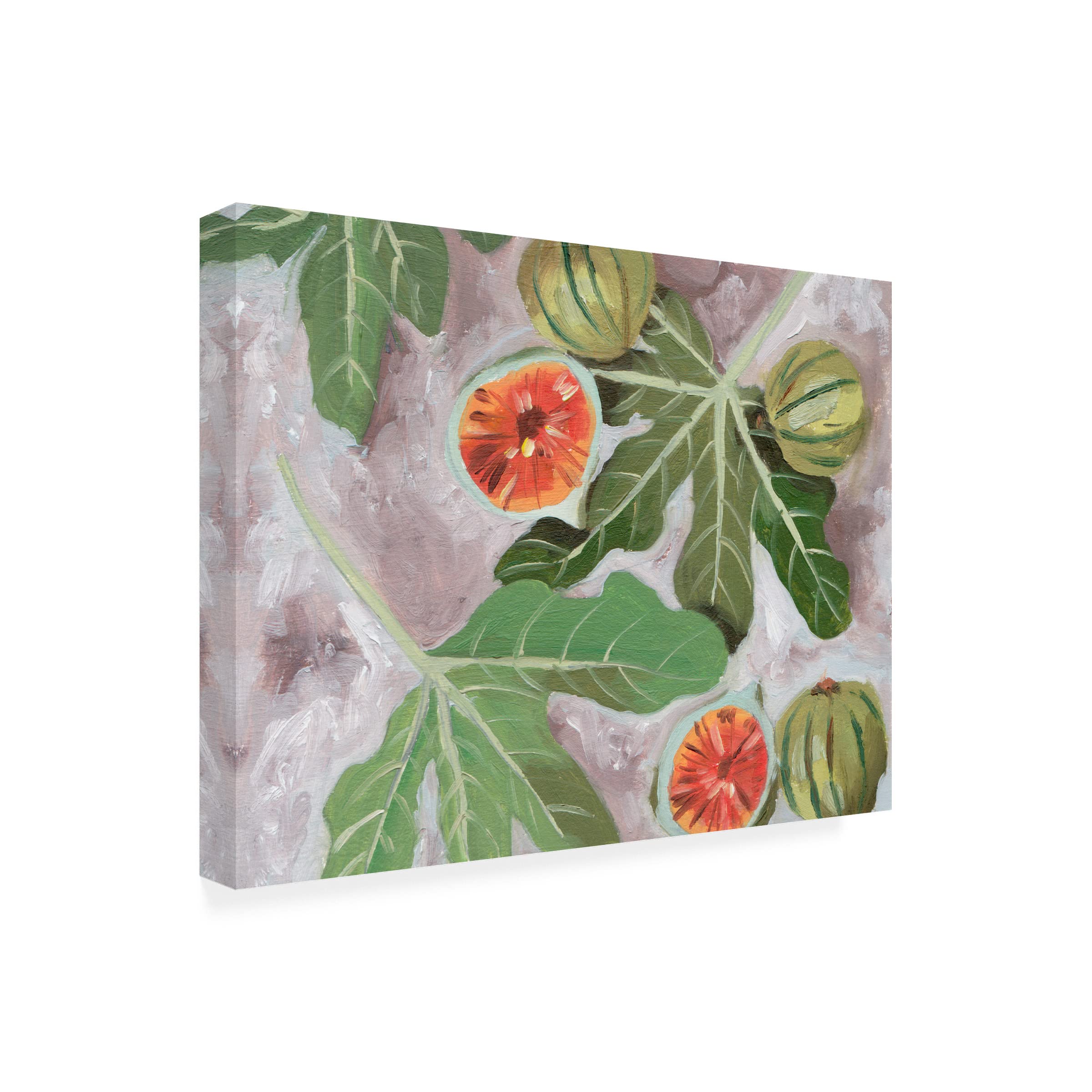 Trademark Fine Art 'DecoratIVe Fig II' Canvas Wall Art by Melissa Wang - Modern Abstract Painting for Living Room, Bedroom & Office Decor