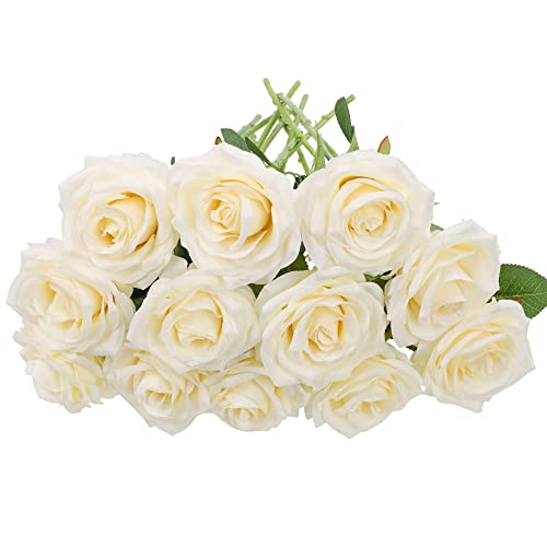 12 Ivory