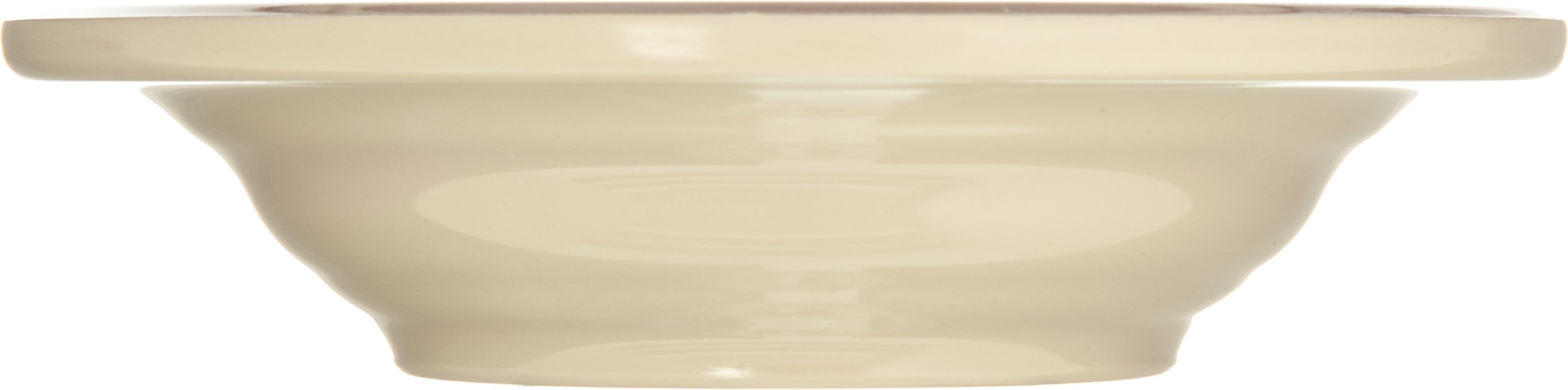 Carlisle FoodService 4.5oz Melamine Reusable Plastic Bowl - Pottery Style Serving Dish for Fruits, Salads, Snacks - Durable & Lightweight for Home, Restaurant, Catering (Pack of 48, Aqua Blue) - Perfect for Parties, Picnics & Daily Kitchen Use