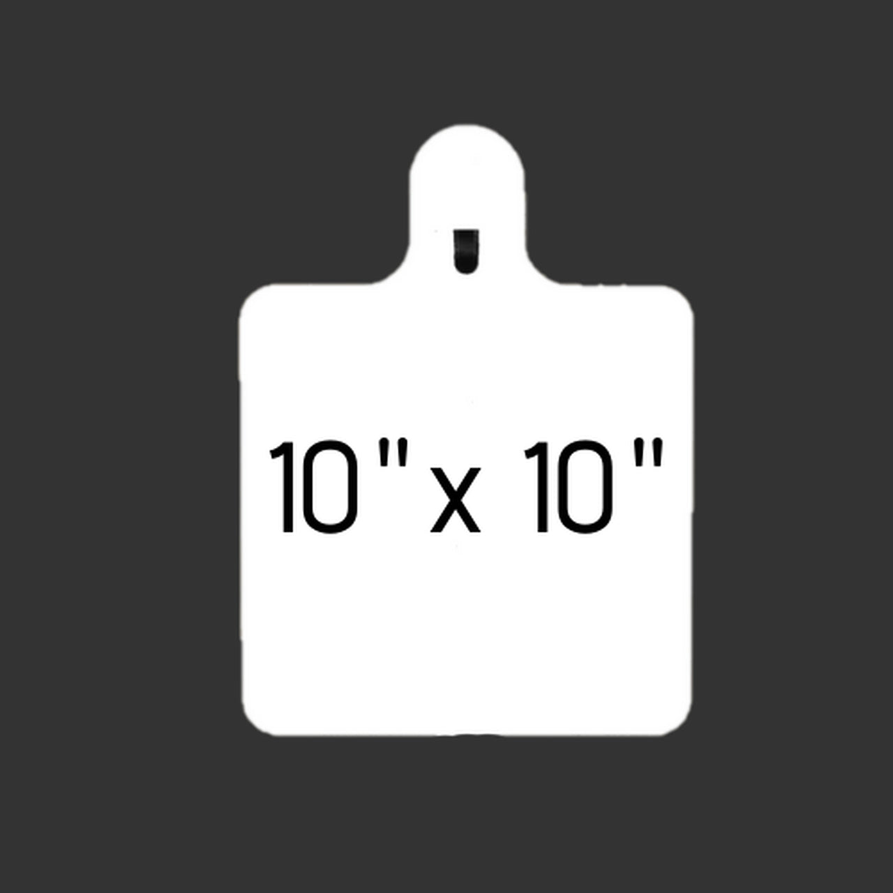 JC Steel Targets - 10 Square 3/8