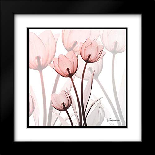 Albert Koetsier Blush Luster Tulips 20x20 Black Modern Framed Art Print with Double Mat - Perfect for Living Room, Bedroom & Office Wall Decor