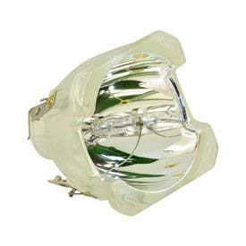 Technical Precision ULP-300W-1.3-E21.9 Replacement Projector TV Lamp Bulb - Compatible with Multiple Brands | Perfect for Home Theater, Office Presentations & Classroom Projectors