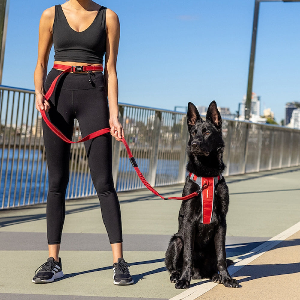 Premium Reflective Dog Leash for Road Runner - Heavy Duty Nylon Pet Walking Lead with Comfortable Handle for Running, Hiking & Outdoor Adventures