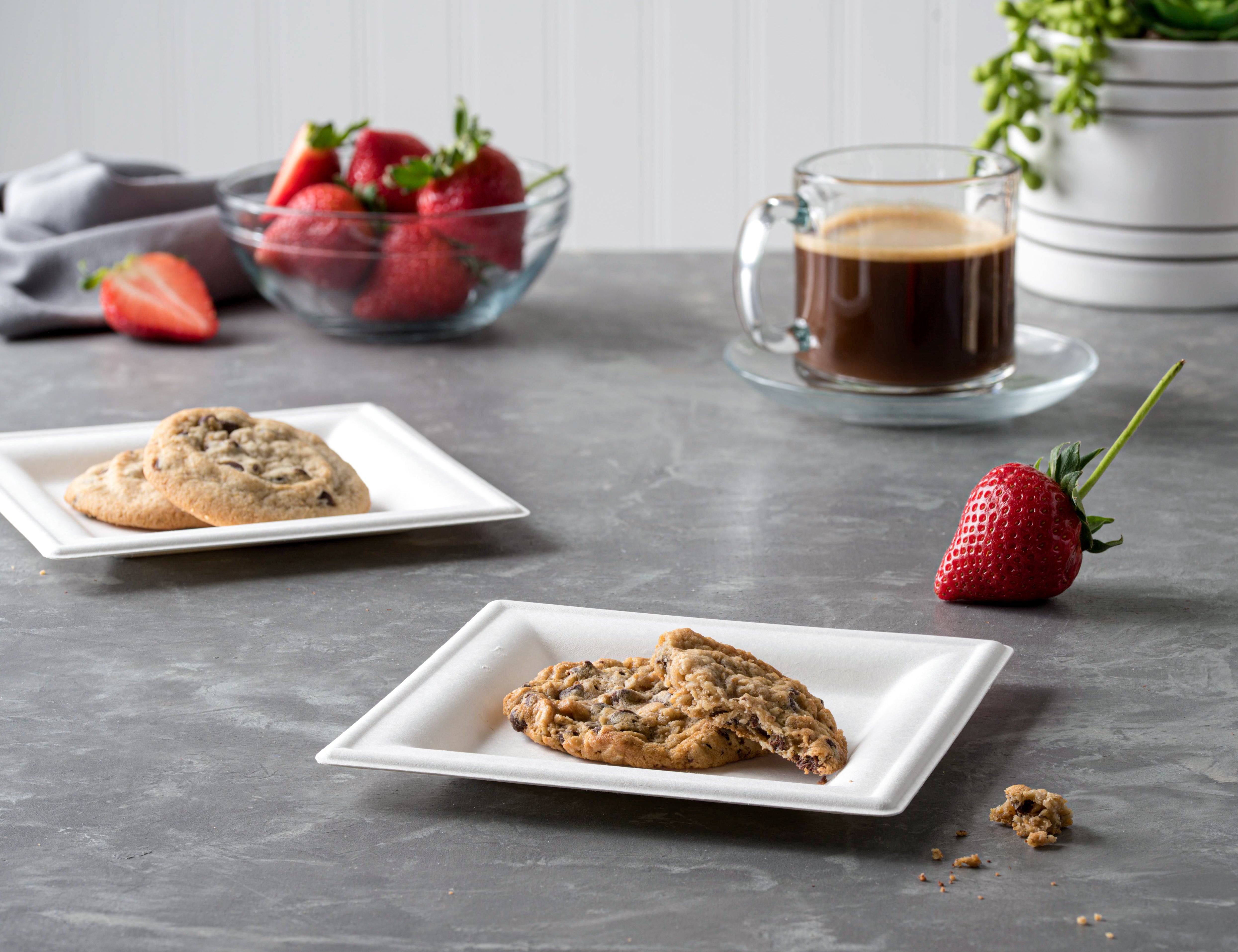 Eco-Friendly 100% Compostable Square Paper Plates - Natural Disposable Sugarcane Bagasse Plates with Green Leaf Design | Perfect for Picnics, Parties & Sustainable Dining