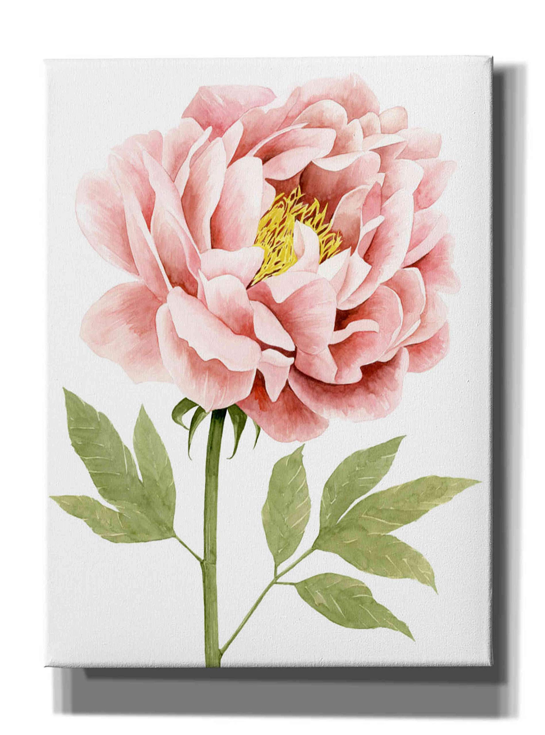 Grace Popp Watercolor Peony I Canvas Wall Art - 40x54 Inch Floral Home Decor for Living Room, Bedroom & Office - Handmade Painting for Modern Interior Design
