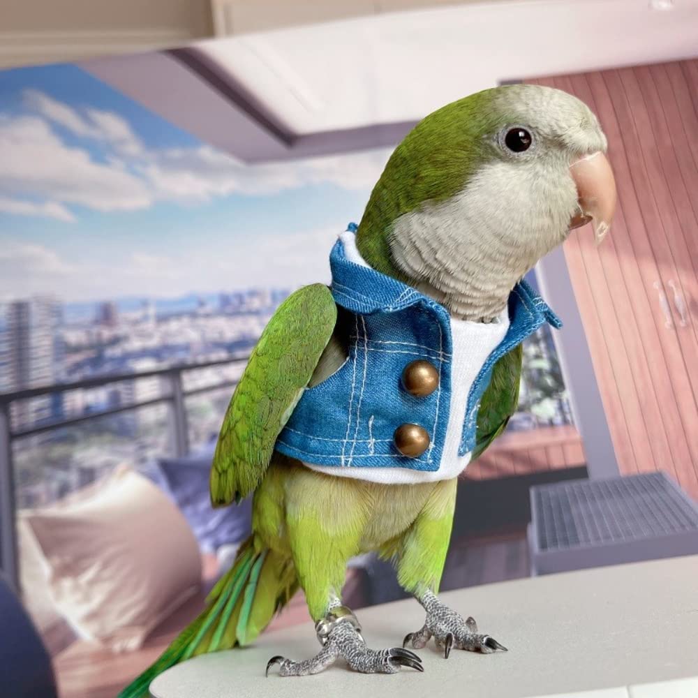 Bird Diaper Flight Suit & Costume Set for Parrots, Lovebirds, Cockatiels - Soft Bird Jeans with Absorbent Diaper - Perfect for Cosplay, Photo Props & Small Pet Apparel (Caique Size Included) - Ideal for Playtime, Training & Indoor Bird Activities