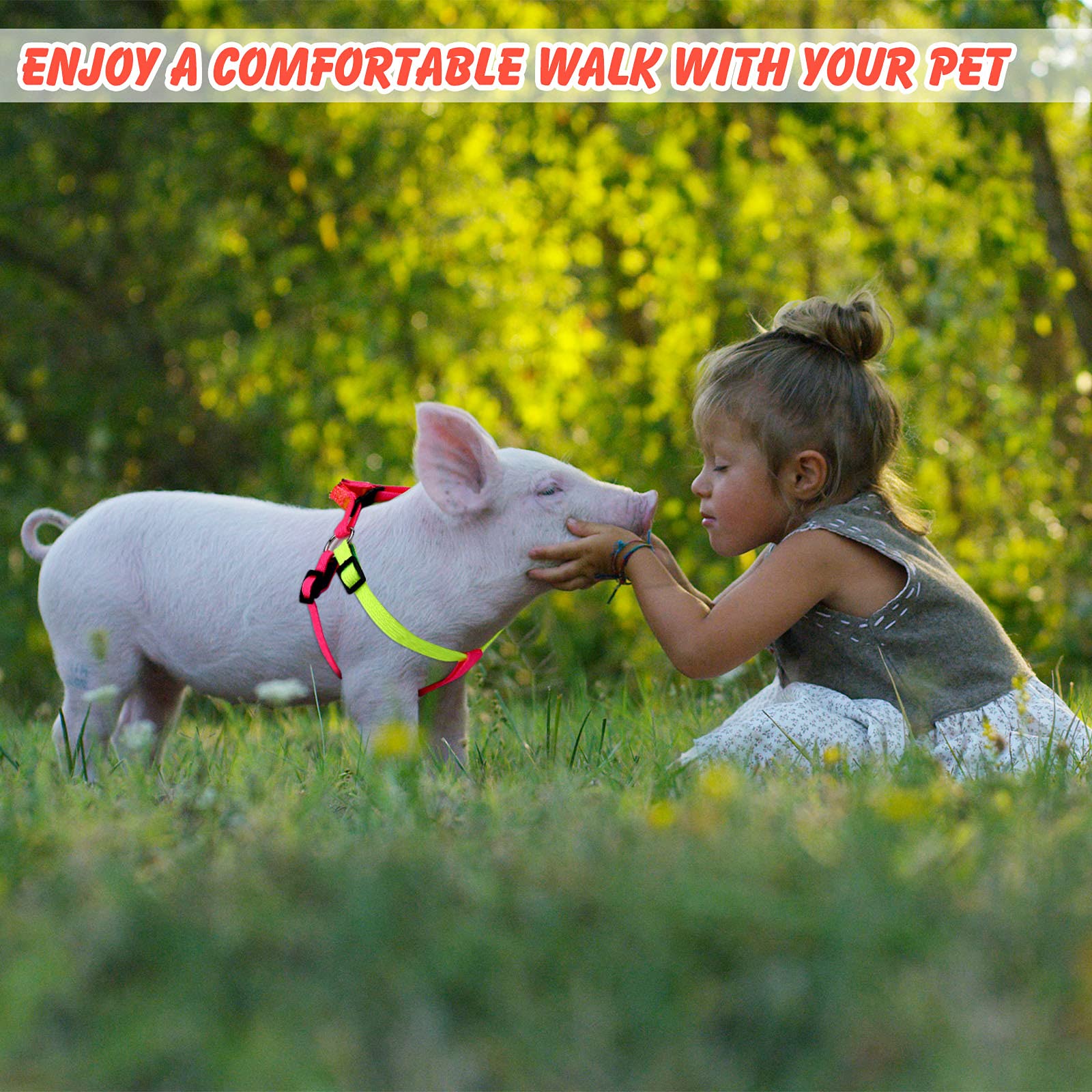 Frienda 2 Pack Adjustable Mini Pig Harness & Leash Set for Small Pets - Hog, Piggy, Ferret, Rabbit, Dog, Cat - Perfect for Walking, Training, Jogging & Outdoor Adventures