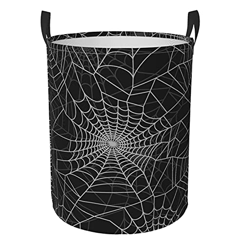 Halloween Funny Spider Web
