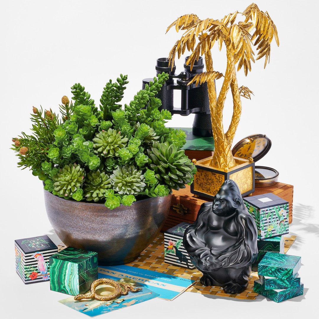 Beautiful Succulent Plants in Gray Ceramic Pot - Perfect for Home Decor, Office Desk & Gift Ideas