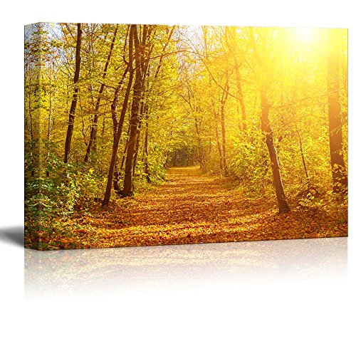 Yellow Leaves