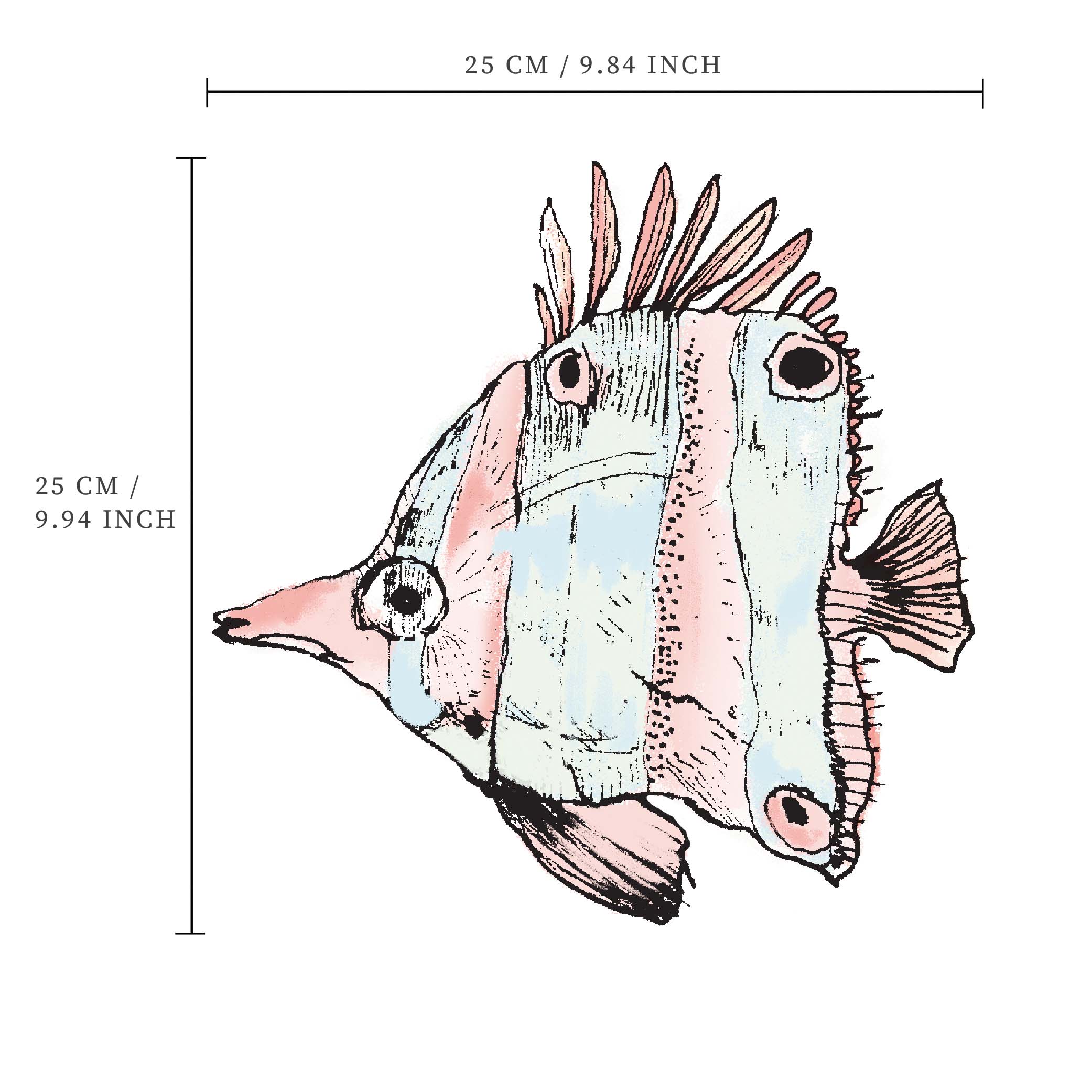 Fish Wall Decals - Removable Vinyl Stickers for Home Decor, Kids Room & Nursery - Underwater Ocean Theme DIY Wall Art