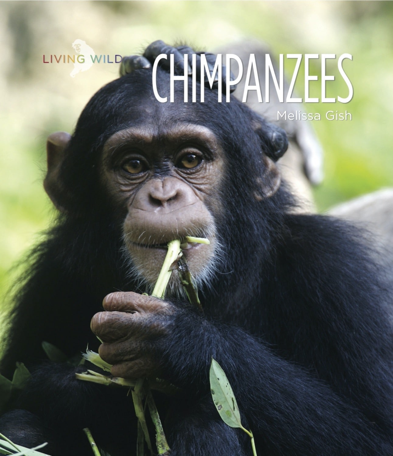 Chimpanzees Book - ISBN 9781608182862 - Perfect for Animal Lovers & Wildlife Research