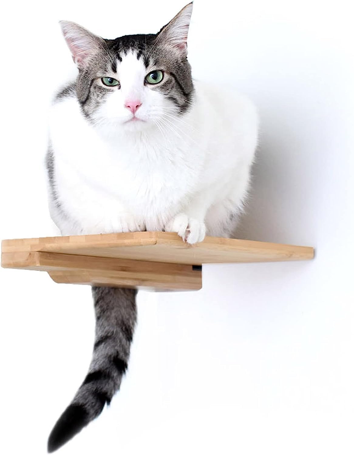 Cat Step Bamboo Shelf with Cork Pad - Wall Mounted Cat Climbing Furniture for Indoor Cats (9