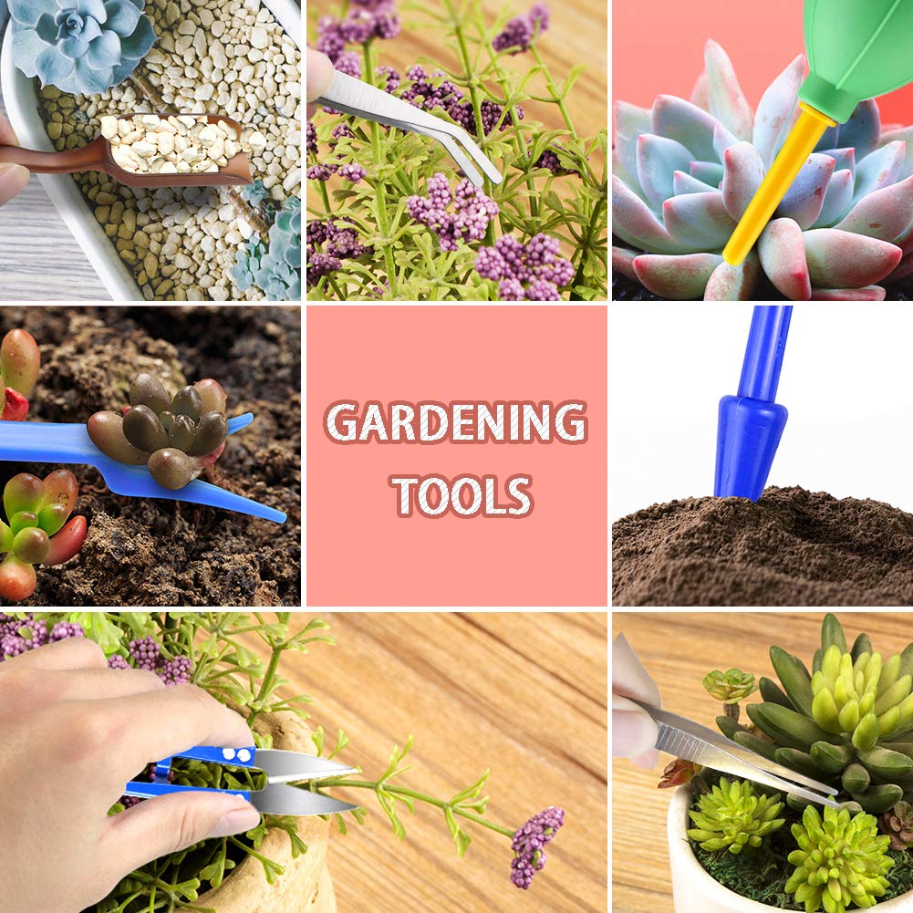 Premium Succulent Tools Kit with Organizer Bag & Planting Mat - 12-Piece Gardening Tool Set with Tote for Mini Succulent Care, Bonsai Planting & Indoor Gardening - Perfect for Home Decor, Office Plants & DIY Garden Projects