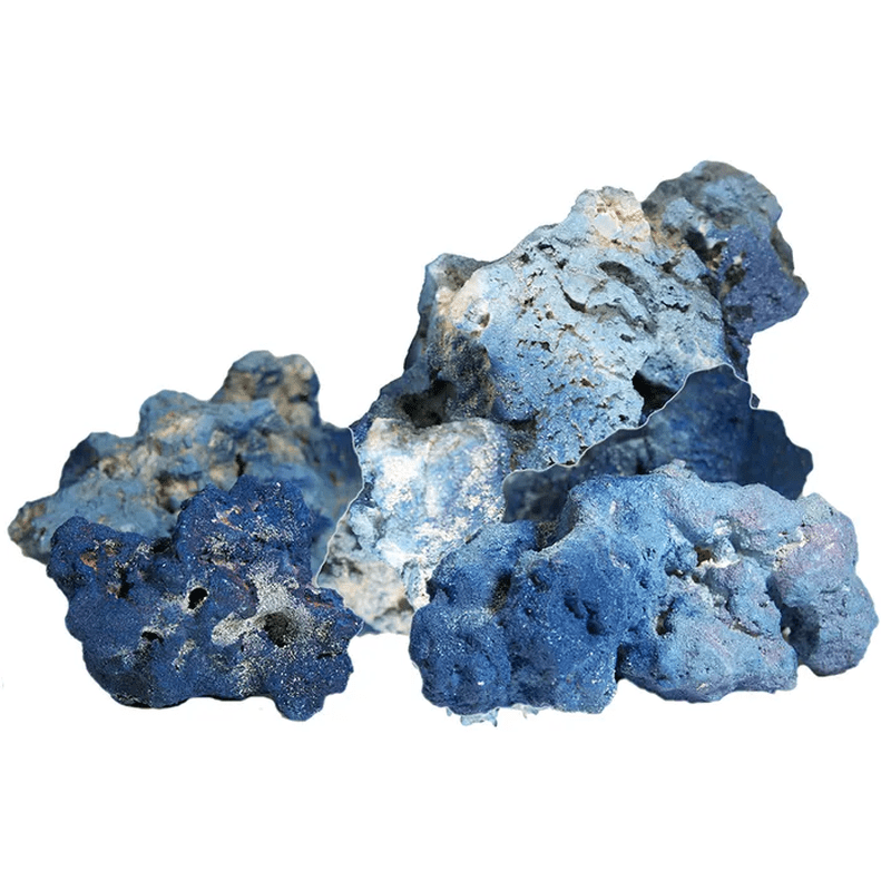 Premium Aqua Natural Reef Base Rock for Saltwater Aquariums - 10kg (22 lbs) - Live Blue Marine Rock for Coral Growth & Fish Habitat - Perfect for Reef Tanks, Aquascaping & Marine Ecosystems
