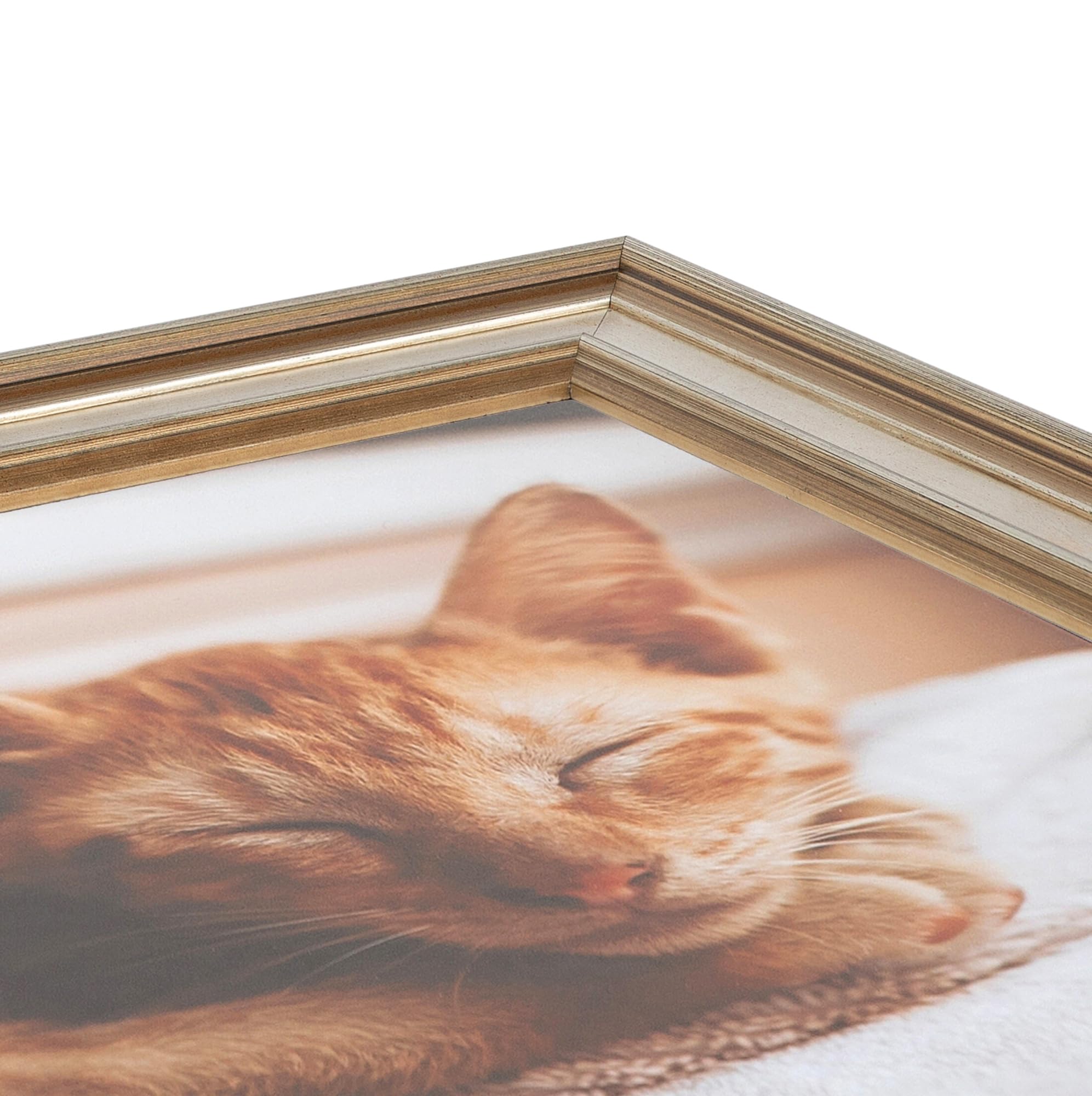 ArtToFrames 16x20 Inch Silver Wood Picture Frame with Gold Accents - Premium Wall Decor for Living Room, Bedroom & Office (WOMD1087-16x20)