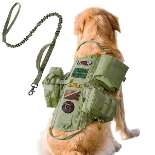 Army Green(With Leash)